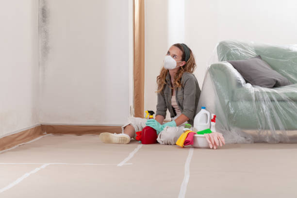 Reliable Mold Cleanup contractor in Wingate, NC by Cheap Mold Removal